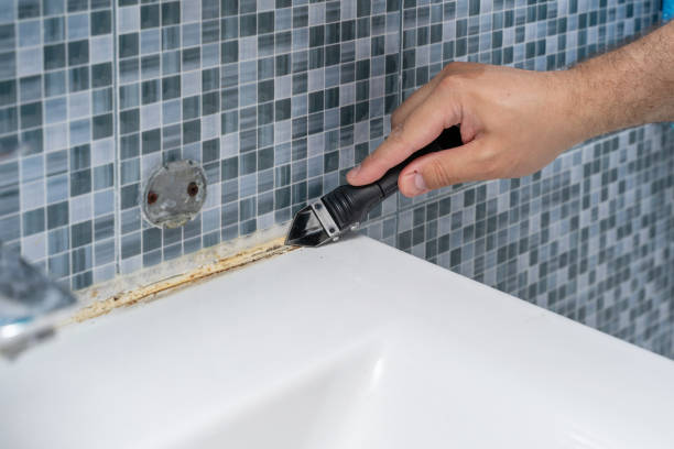 Best Residential Mold Remediation in Ramblewood, NJ