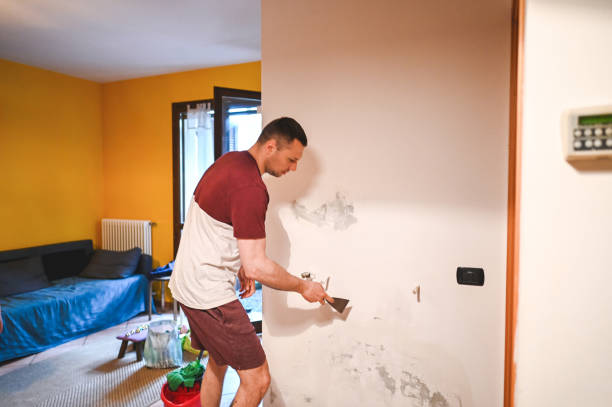 Best White Mold Remediation in Ramblewood, NJ